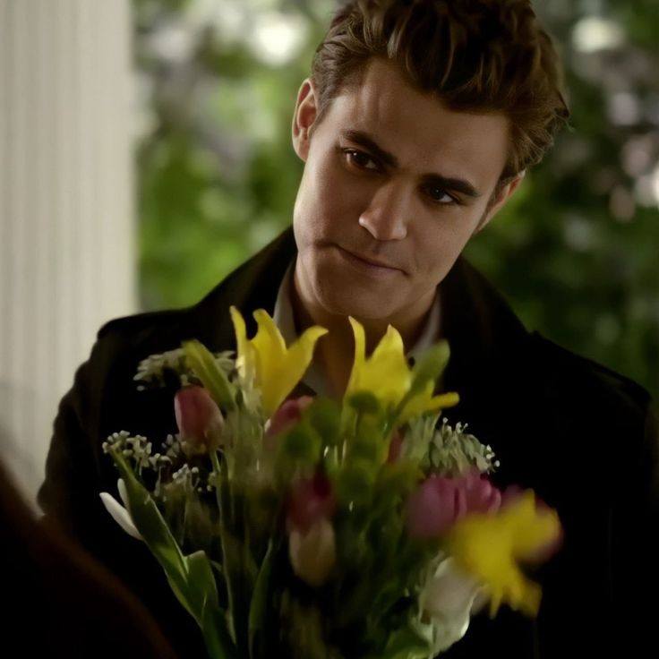 Stefan Salvatore